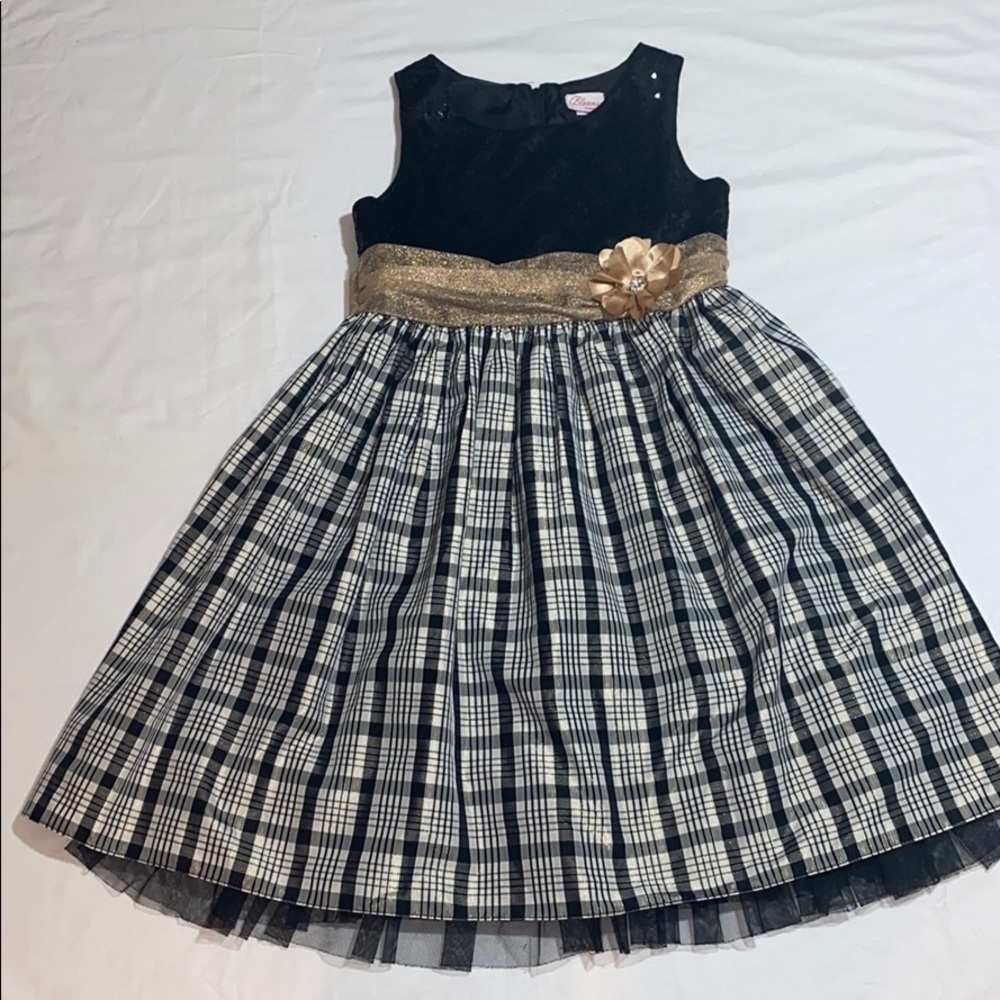 Girls special occasion dress.
